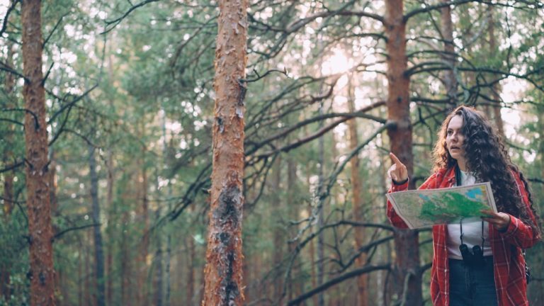 Mastering the Art of Travel Planning: A Journey Beyond the Destination